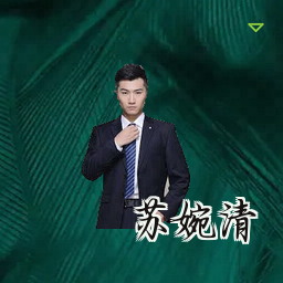苏婉清